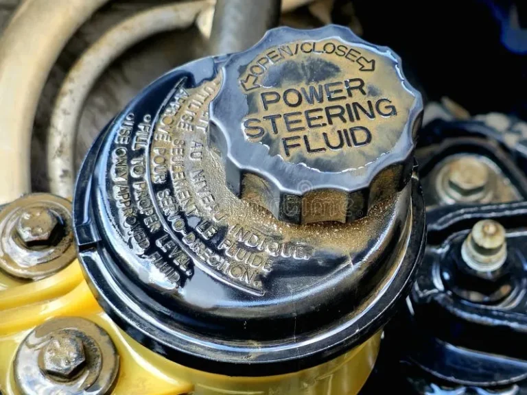 Steering Oil leakage repair