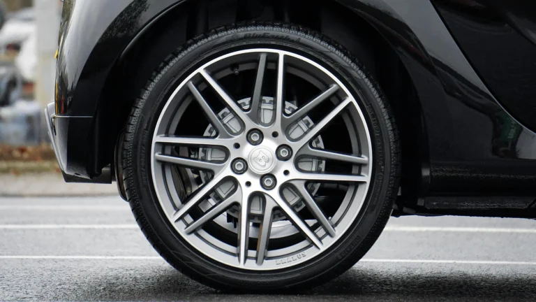 Alloy Gator Rim Protector
