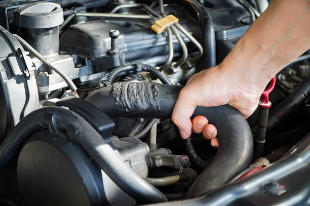 Radiator Hoses Replacement